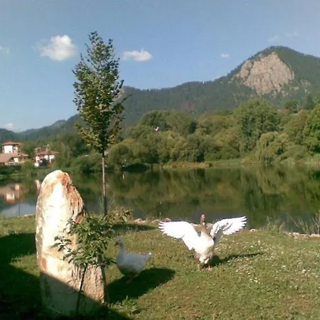 рибката семеен 3*